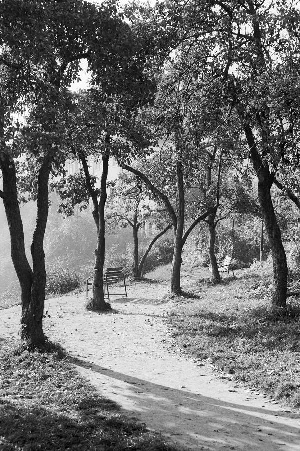 Schody do nebe - FOTOGRAFIE