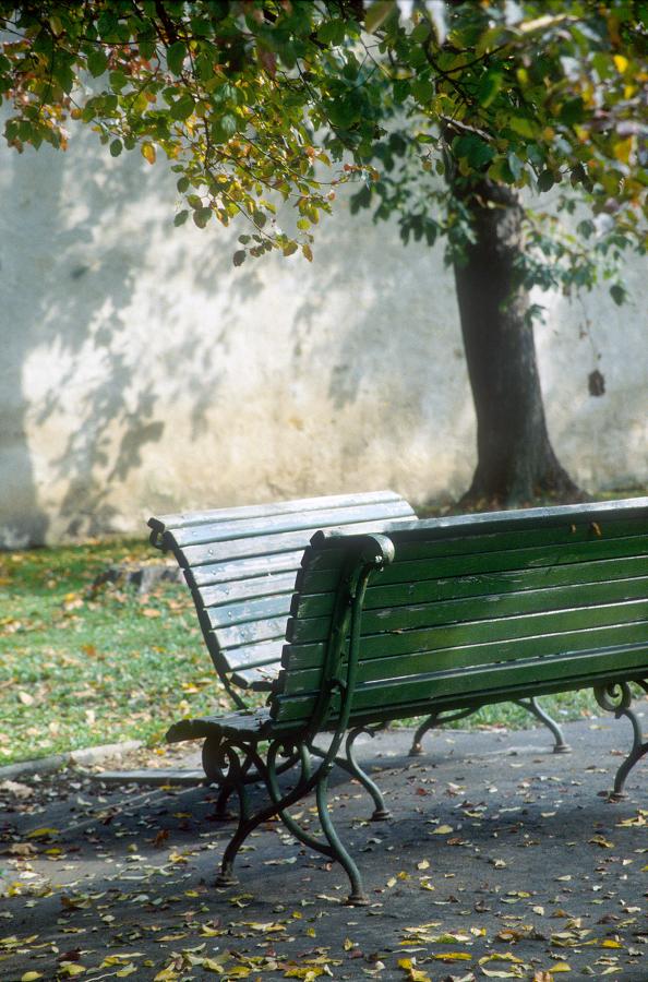 Schody do nebe - FOTOGRAFIE