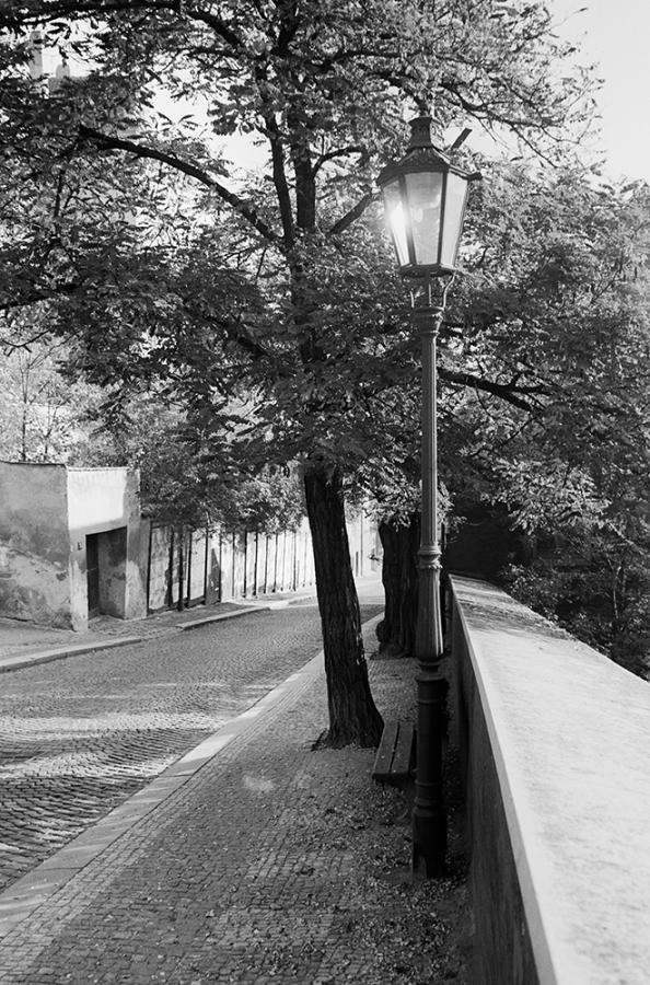 Schody do nebe - FOTOGRAFIE plus