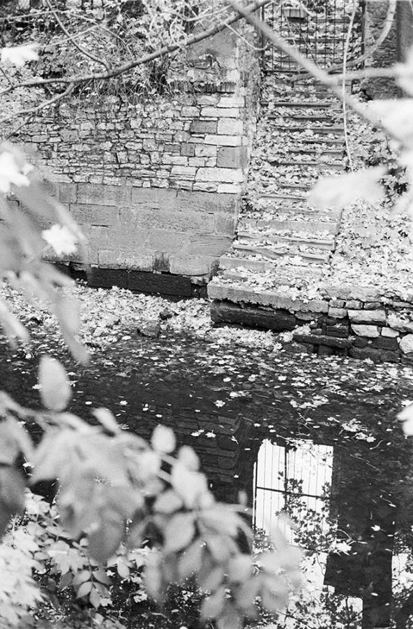 Schody do nebe - FOTOGRAFIE plus