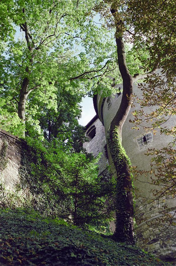 Schody do nebe - FOTOGRAFIE plus