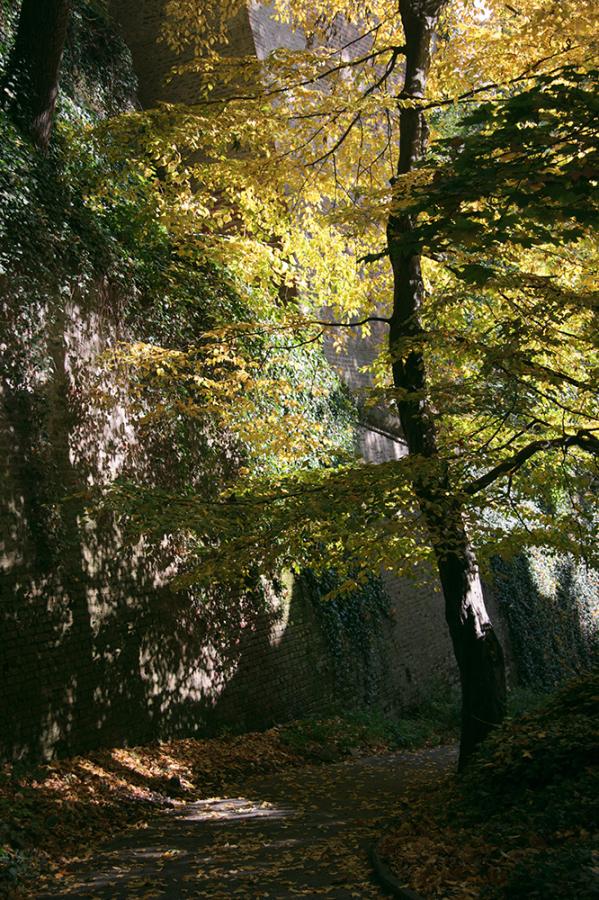 Schody do nebe - FOTOGRAFIE plus