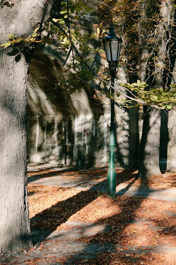 Schody do nebe - FOTOGRAFIE plus