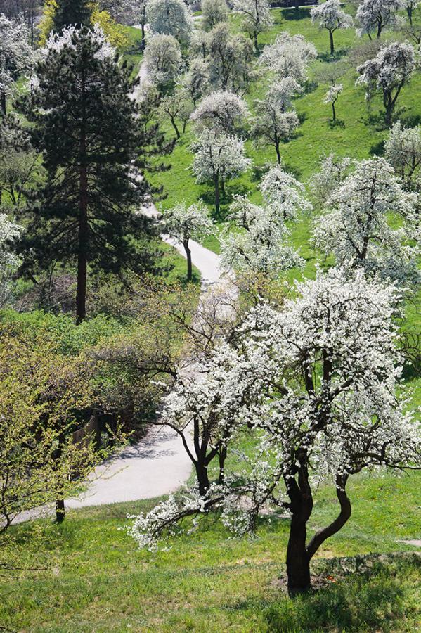 Schody do nebe - FOTOGRAFIE plus