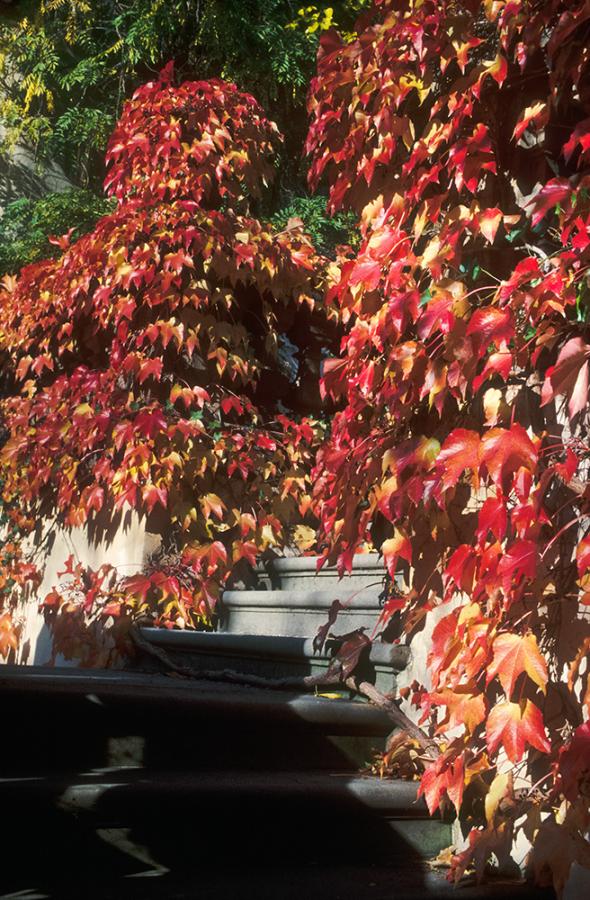 Schody do nebe - FOTOGRAFIE plus