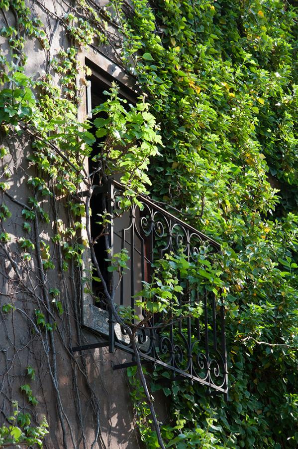 Schody do nebe - FOTOGRAFIE plus