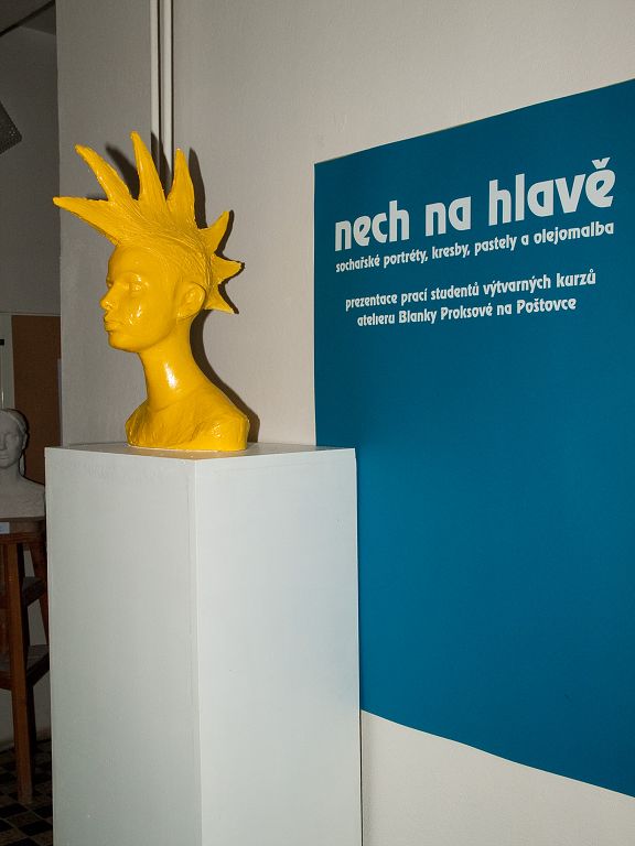 Nech na hlavě, společná výstava, leden 2008