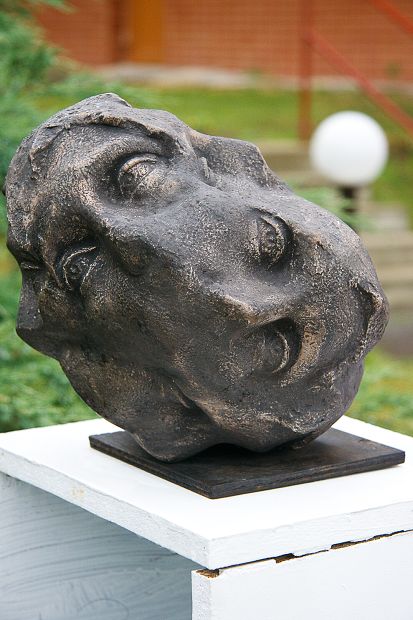 Poštovka Zahrada 2011 - Zrcadlení