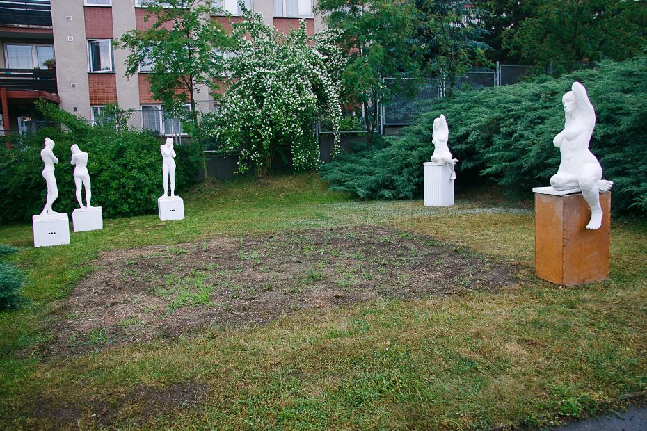 Poštovka Zahrada 2011 - Zrcadlení