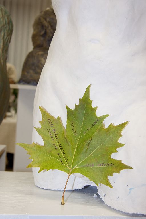 Poštovka, podzim 2009