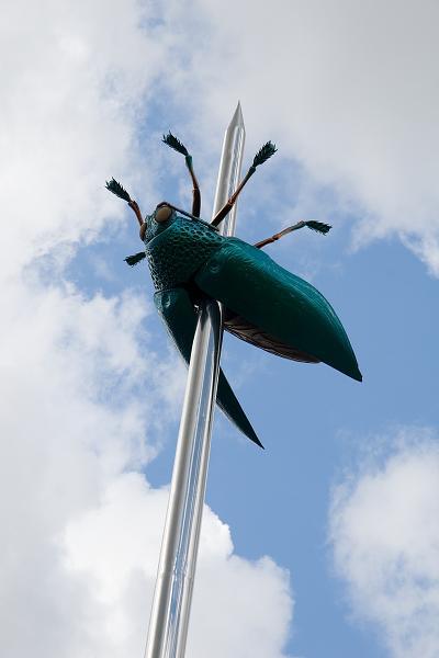 Brusel, Loeven - 2007