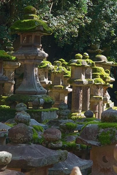 Když v ráji pršelo. Fotografie z cesty do Japonska.