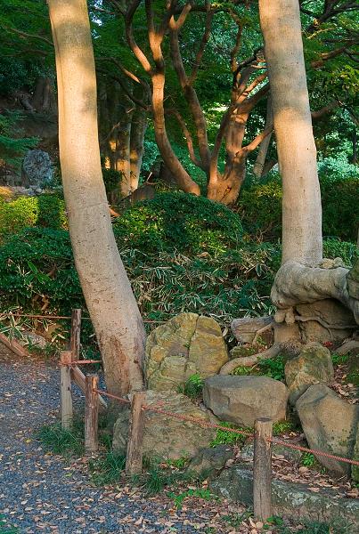 Když v ráji pršelo. Fotografie z cesty do Japonska.