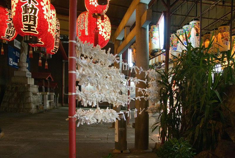 Když v ráji pršelo. Fotografie z cesty do Japonska.