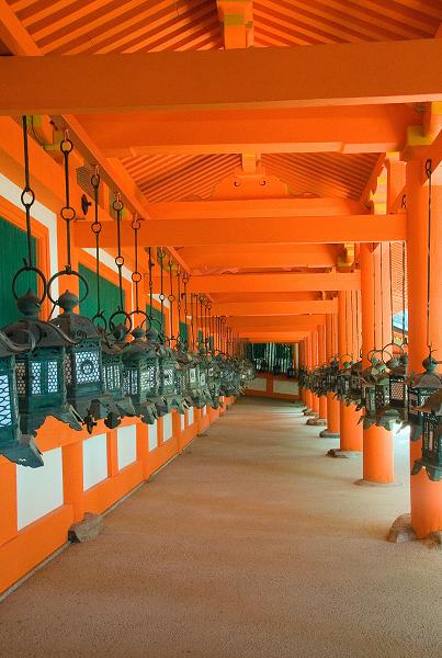 Když v ráji pršelo. Fotografie z cesty do Japonska.