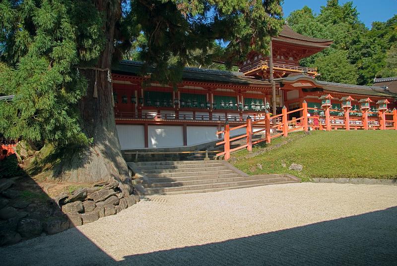 Když v ráji pršelo. Fotografie z cesty do Japonska.