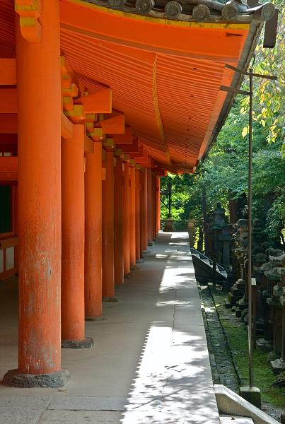 Když v ráji pršelo. Fotografie z cesty do Japonska.