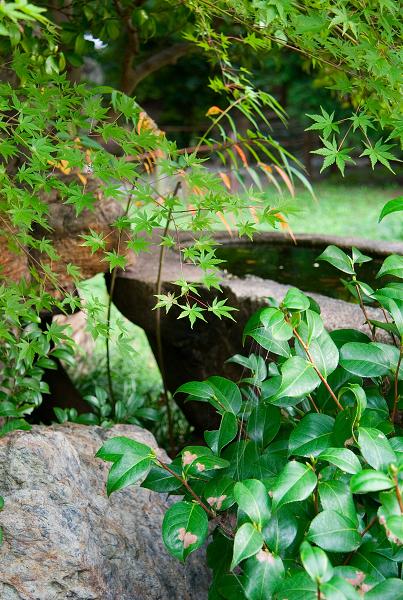 Když v ráji pršelo. Fotografie z cesty do Japonska.