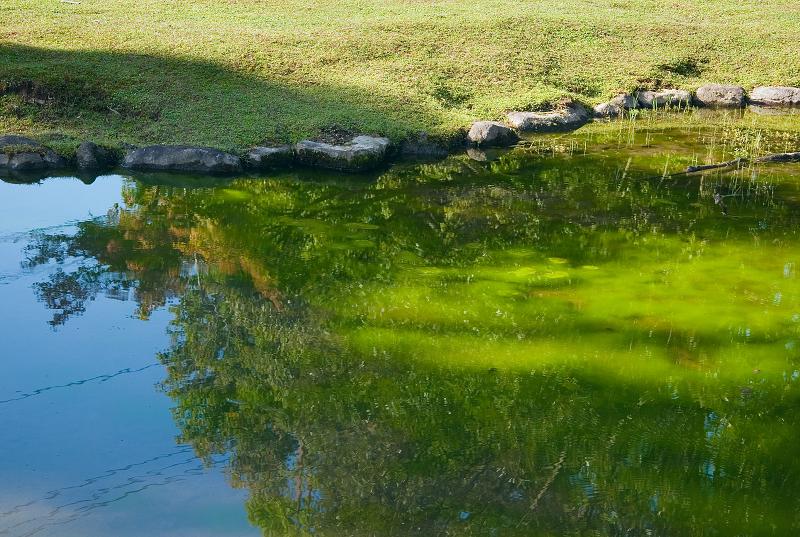 Když v ráji pršelo. Fotografie z cesty do Japonska.