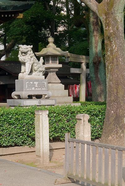 Když v ráji pršelo. Fotografie z cesty do Japonska.