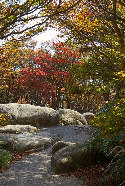 Když v ráji pršelo. Fotografie z cesty do Japonska.