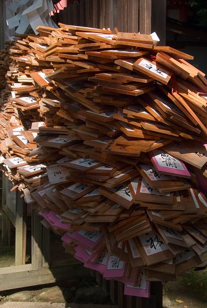 Když v ráji pršelo. Fotografie z cesty do Japonska.