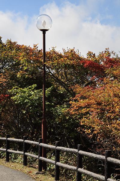 Když v ráji pršelo. Fotografie z cesty do Japonska.