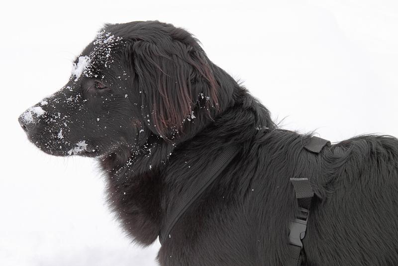 Horní Polubný 2009