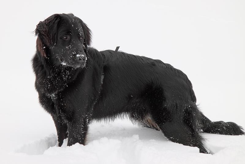 Horní Polubný 2009