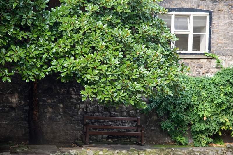 Londýn 2006 - Pohledy a pohlednice