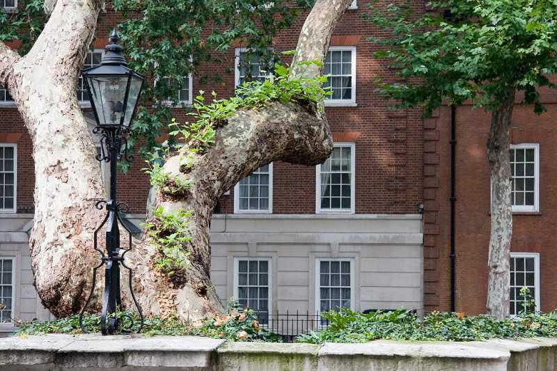 Londýn 2006 - Pohledy a pohlednice