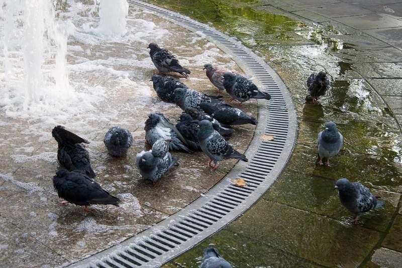 Londýn 2006 - Pohledy a pohlednice