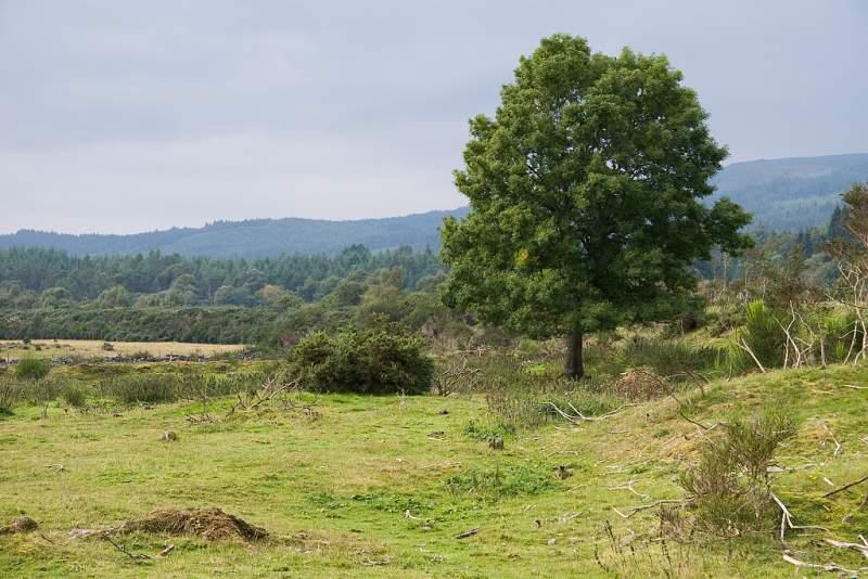 Skotsko, Kaledonský kanál a Inverness - 2006