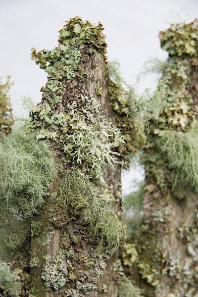 Skotsko, Kaledonský kanál a Inverness - 2006