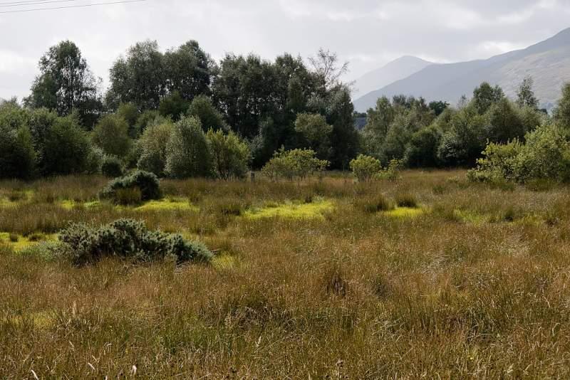 Skotsko, Kaledonský kanál a Inverness - 2006