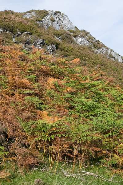 Skotsko, Kaledonský kanál a Inverness - 2006