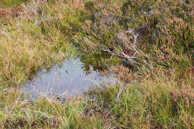 Skotsko, Kaledonský kanál a Inverness - 2006