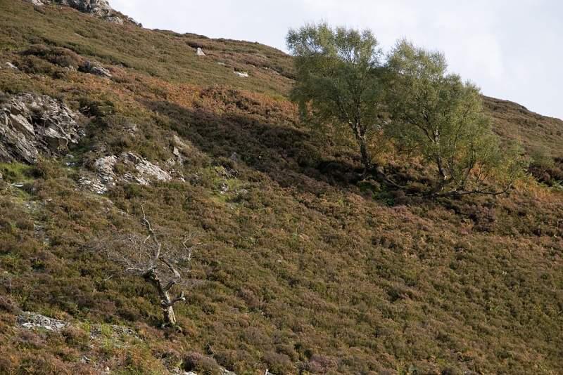 Skotsko, Kaledonský kanál a Inverness - 2006